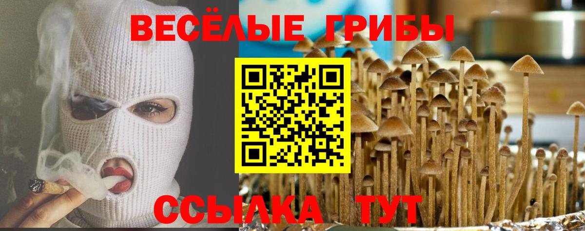 Галлюциногенные грибы GOLDEN TEACHER  купить закладку  Нижнеудинск  Вход с VPN 